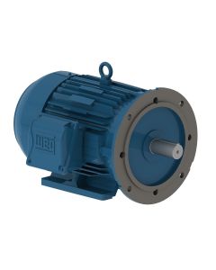Motor Elétrico Trifásico 4cv Weg 220/380V 4P Blindado (W22 IR3 Premium) 1