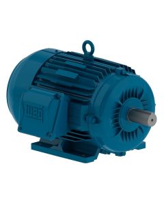 MOTOR 100CV 2P 250S/M 3F 220/380/440 B3D W22 IR3 1